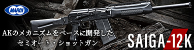 }C SAIGA-12K