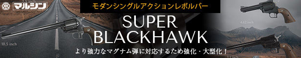 X[p[ubNz[N
