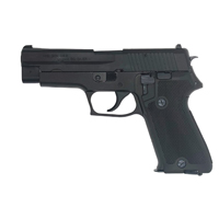 ^iJ[NX SIG P220 q󎩉qf Evolution 2 I[HW ubNiΎ fK {́j