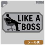 fJ[ V[ MSM ~XybNL[ LIKE A BOSS [ Ήi