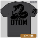~^[ TVc MSM ~XybNL[ DTOM-2A [ Ήi