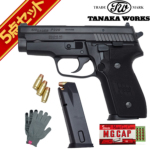 ^iJ[NX SIG P229 Evolution 2 Frame HW { tZbg