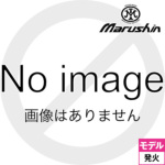 }V T[ PPK ^ 2025N8 Ver HW GNZgiΎ fK ij