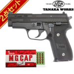 y108 \񏤕iz^iJ[NX SIG P229 .357 SIG Evolution 2 ALL HW fK LbvZbg
