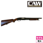 CAW ���~���g�� M31�|RS2�i���Ύ� ���f���K�� �V���b�g�K���j