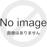 �t�@�C�A�t���C ���R�C���X�v�����O�K�C�h�Z�b�g �����}���C �K�X�u�� �O���b�N19 Gen.5 MOS